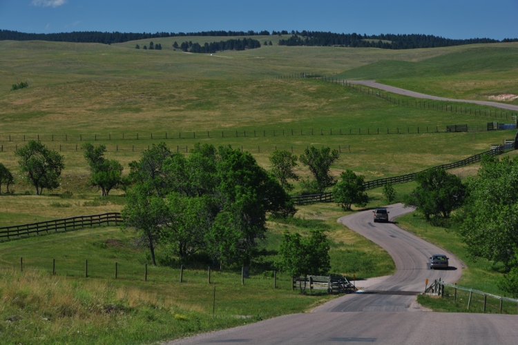 landscape, Custer SP